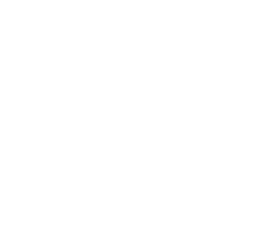 Morale Visual Productions logo